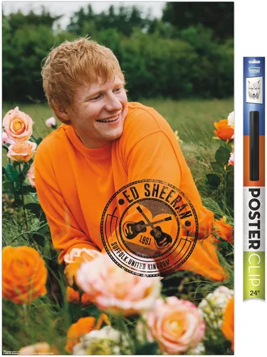 Vista 17 de Trends International Ed Sheeran - Póster de pared de campo de rosas, 22.37 x 34.00 pulgadas, versión enmarcada de madera de granero