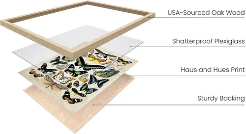 Vista 2 de HAUS AND HUES Juego de 3 pósteres vintage de mariposa, arte de pared, impresiones botánicas para estética de habitación, imágenes