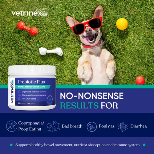 Vista 3 de Probiótico - Tratamiento de coprofagia para perros - Detén y evita que el perro coma caca - No comer heces, disuasorio y prevención - Probióticos
