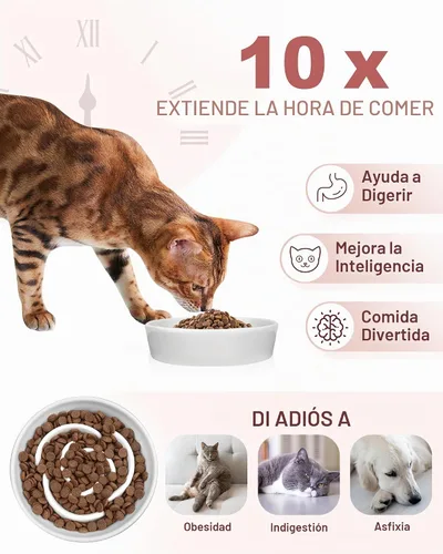 Vista 3 de TRUVIC Cuencos de alimentación lenta de cerámica para perros de raza pequeña, tazón de alimentación lenta de 0.6 tazas para gatos que comen rápido