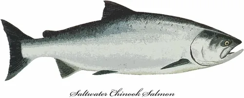 Vista 3 de CafePress Chinook King Salmon Mug 11 oz (325 ml) Ceramic Coffee Mug