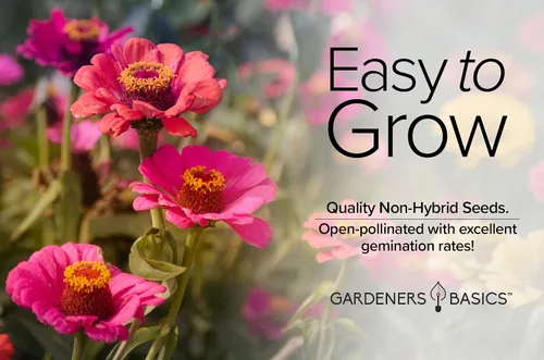 Vista 6 de Gardeners Basics Semillas de zinnia para plantar flores al aire libre (Thumbelina) - Paquete de semillas de flores reliquia anual, variedad sin OMG
