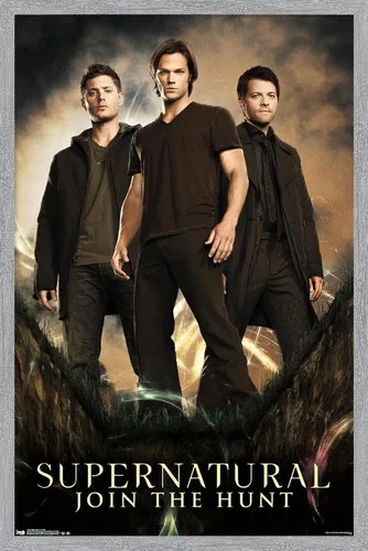 Vista 16 de Trends International Supernatural - Póster de pared de grupo, 14.725 x 22.375 pulgadas, versión con marco de madera tipo granero