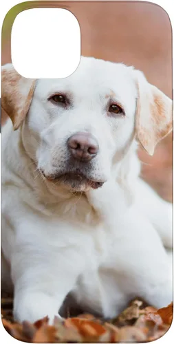 Vista 15 de Labrador Retriever Dog Lover - Carcasa para iPhone 17