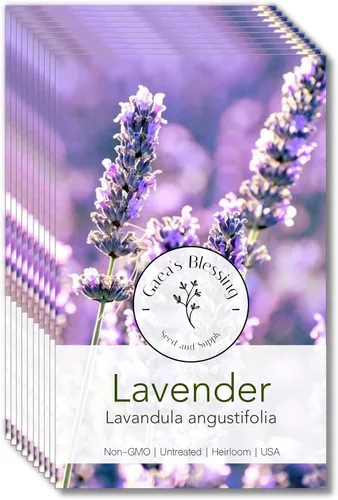 Vista 3 de Gaea's Blessing Semillas – Semillas de lavanda inglesa – Semillas tradicionales sin OMG con instrucciones fáciles de seguir – Vera True Lavender