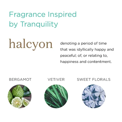 Vista 4 de MKS eco WOW Oilixir - Aceite multiusos para el cabello y la piel, aroma Halcyon, 2 onzas líquidas, libre de siliconas, limpiadores de sulfatos