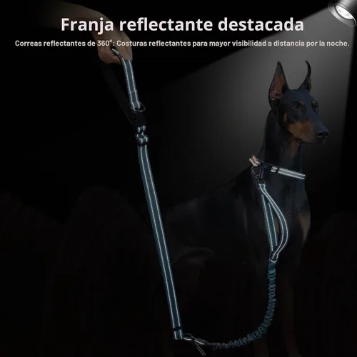 Vista 5 de Roses&Poetry - Correa para perros manos libres para perros medianos y grandes, resistente, sin tirón, correa elástica para correr y caminar