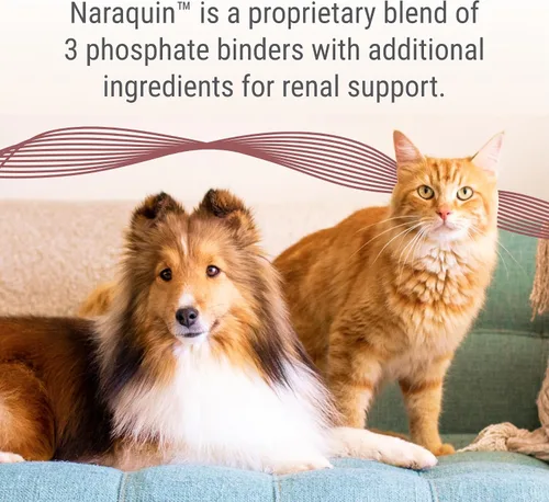 Vista 2 de Nutramax Laboratories NARAQUIN™ Complemento de unión de fosfato dietético + apoyo renal para gatos y perros, 60