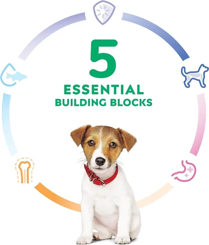 Vista 6 de Hill's Science Diet, Alimento Seco para Perro Desarrollo Saludable para Cachorros, Trozos pequeños