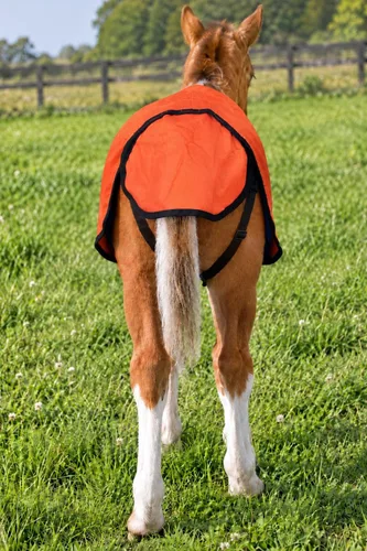 Vista 4 de 36-42 (mediano) 1680D Miniatura Weanling Donkey Pony Horse Foal Manta de invierno 519TS01OR Naranja