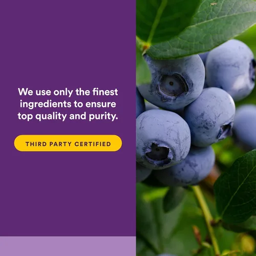 Vista 5 de BlueRich by Natural Factors, concentrado de arándanos súper fuerte, apoyo antioxidante para una buena salud general, 90 cápsulas blandas