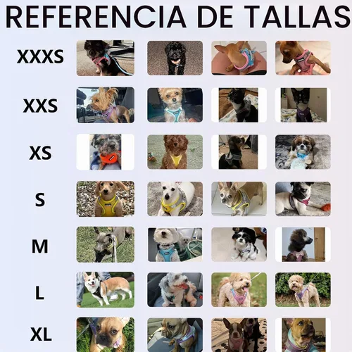Vista 8 de AIITLE Arnés para perro, arnés sin tirones con correa, chaleco reflectante ajustable para perro, arnés para gatos a prueba de escape, caminar al