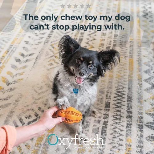 Vista 7 de Oxyfresh Juguete dental masticable para perros, el mejor juguete de limpieza de dientes de perro, un simple juguete de mordida y cepillo que ayuda a