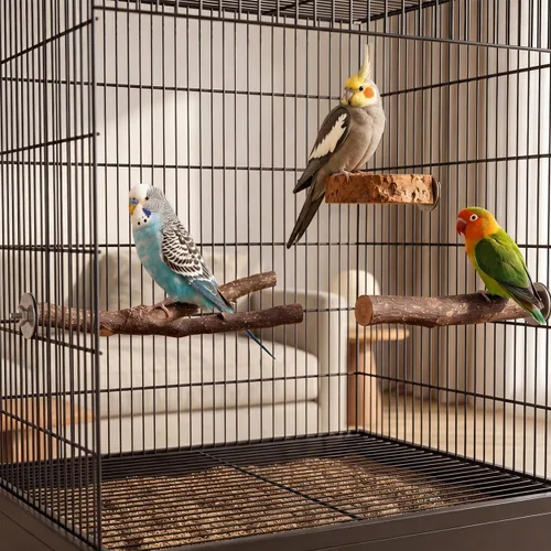 Vista 2 de Juego de 8 perchas para pájaros de madera de manzana natural, accesorios para jaula de pájaros, soporte de madera para loros, ramas de madera dura