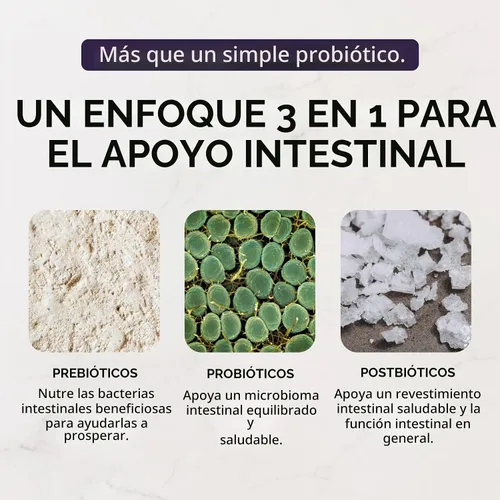 Vista 5 de Complejo probiótico 3 en 1 de limonada de saúco – Mezcla para beber de 30 sobres con prebióticos, probióticos y posbióticos – 5 mil millones de UFC