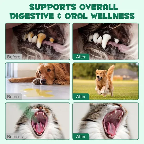 Vista 7 de ALIVO Polvo de carbón activado para perros, gatos, suplemento de salud en polvo de carbón activado, apoya el bienestar digestivo y la frescura oral