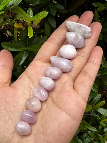 Vista 2 de GAF TREASURES Piedras pulidas de kunzita al por mayor, piedra preciosa natural pulida de la kunzita, rocas pulidas kunzita (Kunzita, 0.25 libras)