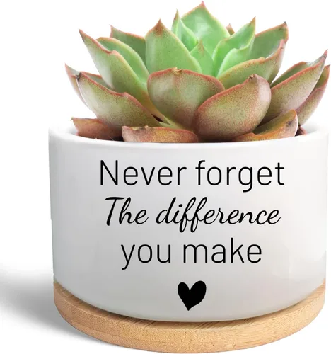Vista 12 de Regalos inspiradores para mujeres, bonita maceta para suculentas, maceta de cactus para amantes de las plantas, regalo motivacional de animación