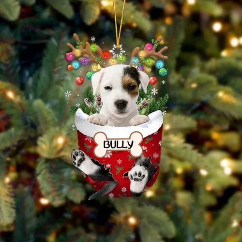 Vista 148 de IZI POD Affenpinscher Adorno de Navidad personalizado para perro, adorno de bolsillo de nieve para perro para árbol de Navidad, adorno acrílico