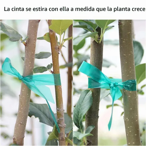 Vista 7 de Easytle Cinta de amarre de jardín de 0.45 pulgadas y 290 pies, rollo de cinta elástica para plantas, resistente cinta de plantas de PVC verde