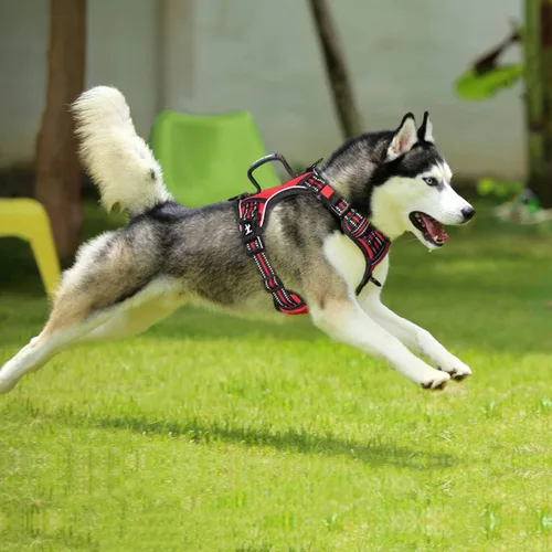 Vista 3 de PoyPet - Arnés para perro sin tirones, pechera reflectante con clip frontal, chaleco para mascotas sin estrangulamiento con asa vertical acolchada