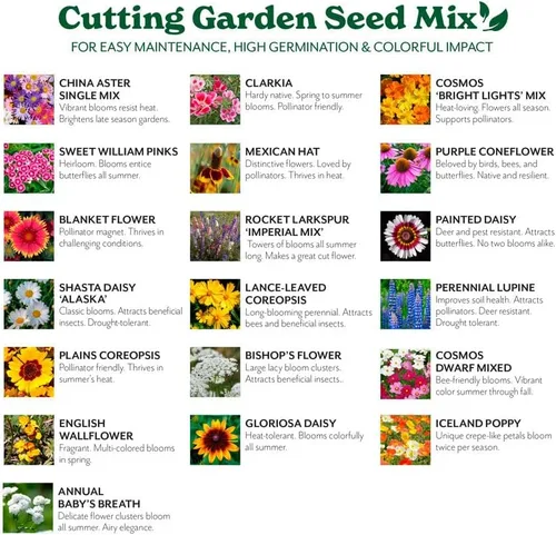 Vista 3 de Cultiva tu propia mezcla vibrante de semillas de jardín de flores silvestres anuales y perennes, variedades para polinizadores y jardines de Mezcla