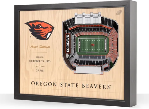 Vista 25 de YouTheFan NCAA Arte de Pared StadiumView de 25 Capas