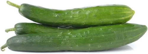 Vista 2 de Cortadora de arbustos sin erupciones de pepino F1 (20 semillas)