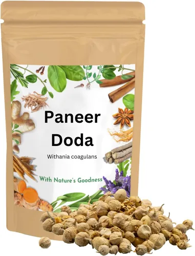 Vista 4 de Billion Deals Ayurveda Paneer Phool Doda / DODI Withania Coagulans, bueno para la salud (8.82 oz)