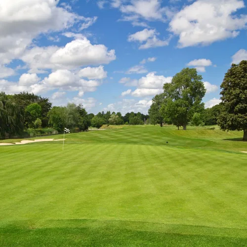 Vista 3 de Seeds2Go - Semillas rastreras BentGrass, paquete de 1 libra de semillas puras