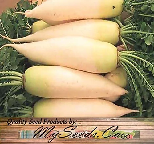Vista 6 de Paquete grande - Semillas sin transgénicos de MySeeds.Co