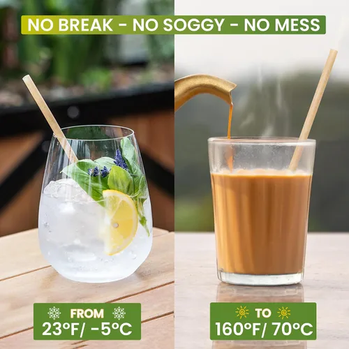 Vista 3 de Juego de 200 pajitas de coco biodegradables, desechables, sin plástico, ecológicas de fibra de coco a granel para bebidas frías y calientes