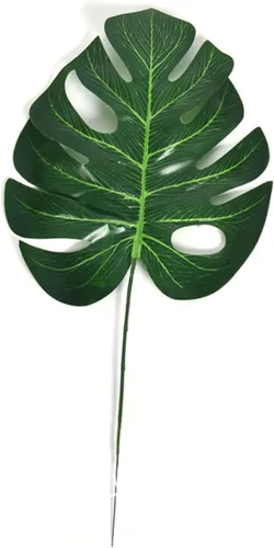 Vista 5 de Zerodeko 10pcs Jarrón de musgo plantas verdes sabrosa hiedra