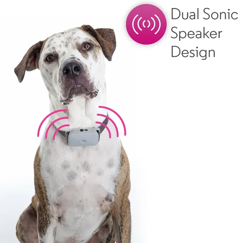 Vista 2 de Motorola BARK200U - Collar ultrasónico para perro con 3 niveles y vibración
