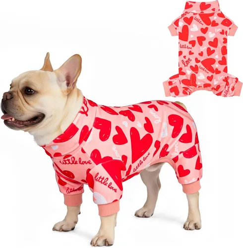 Vista 11 de KYEESE - Pijama de terciopelo para perros pequeños para uso diario, ardilla