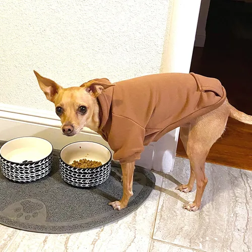Vista 3 de Jecikelon Sudadera con capucha para perro de invierno con bolsillos, ropa cálida para perros pequeños, abrigo de Chihuahua, ropa de cachorro y gato