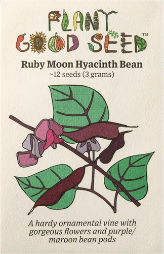 Vista 8 de Plant Good Seed Semillas de frijol orgánico ojo de tigre – Paquete de 18 semillas de frijol arbusto de reliquia para plantar verduras, suministros