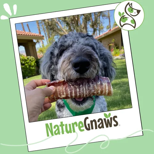 Vista 7 de Nature Gnaws Masticables crujientes para perros, tráquea y golleta, 3
