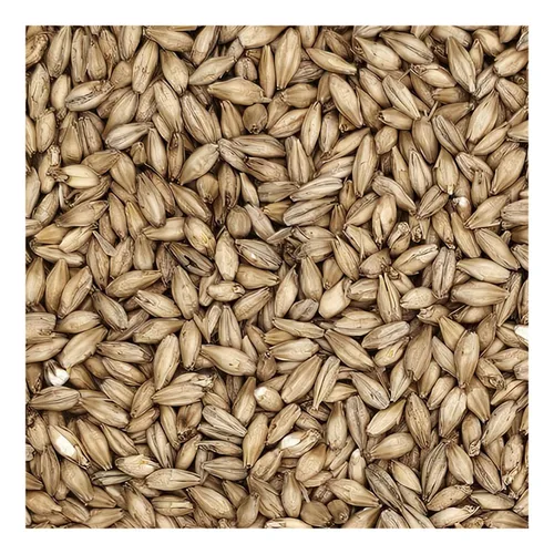 Vista 5 de Briess 26-QVZH-HVSI Grano de malta de cerveceros estadounidenses para elaboración de cerveza y cerveza casera 1 lb. (2 filas de cerveceros), marrón