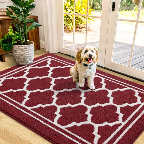 Vista 20 de Buganda Alfombra para Puerta Interior, Tapete Resistente a la Suciedad y Absorbente, Antideslizante, Alfombras de Perfil Bajo para Entrada