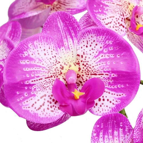 Vista 6 de Htmeing 2 tallos de orquídeas artificiales de tacto real, orquídeas falsas Phalaenopsis para centro de mesa, hogar, cocina, boda, fiesta, decoración