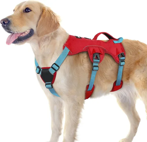 Vista 41 de rabbitgoo - Arnés para perros a prueba de fugas, arnés para mascotas acolchado y suave de cuerpo completo, arnés reflectante ajustable sin tirones