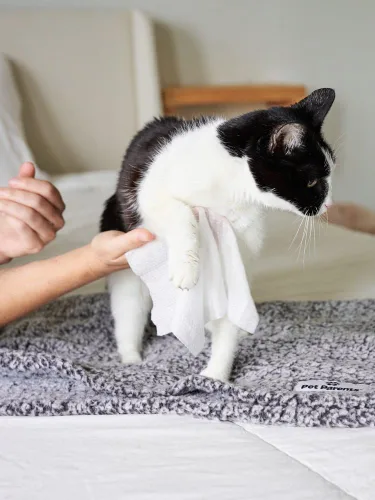 Vista 9 de Toallitas para gatos de todo uso Pet WiPees™ – 100 Toallitas de baño diarias para gatos, Toallitas naturales para gatos para orejas, pelaje