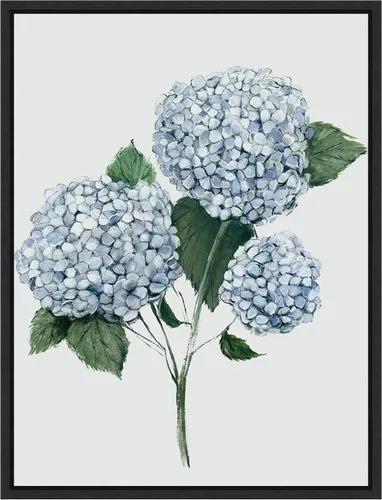 Vista 10 de Amanti Art Framed Canvas Wall Art 24x18 Fresh Blue Hydrangea II by Hannah Dawson, Framed Wall Art Canvas, Flowers Artwork, Traditional Decor, Medium