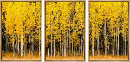 Vista 31 de wall26 Lienzo enmarcado para pared, juego de arte de noche estrellada sobre montañas, cielo nocturno tranquilo, naturaleza, desierto, fotografía