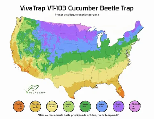 Vista 3 de VivaTrap VT-103 - Trampa y señuelo para escarabajos de pepino (paquete de 2)