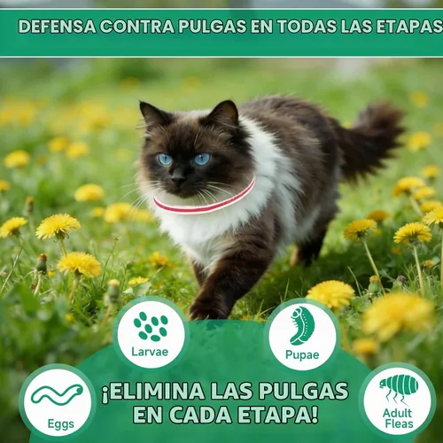 Vista 3 de Collar antipulgas para gatos, tratamiento de pulgas y garrapatas de gato