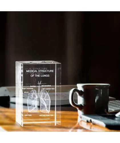 Vista 6 de Ultrassist Modelo 3D de Pulmón Humano de Cristal, Modelo Anatómico Grabado Láser para Decoración de Hogar y Oficina, Regalos para Neumólogos