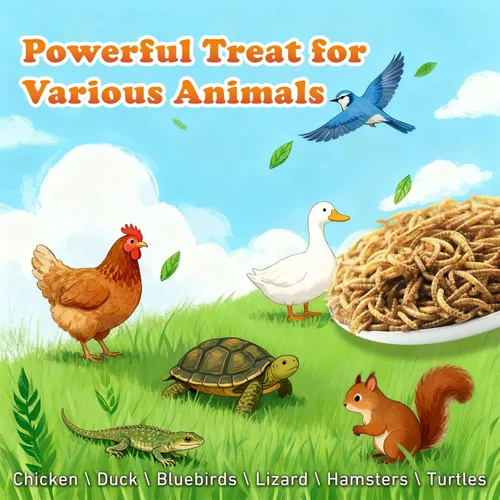 Vista 5 de Amzey Gusanos secos de harina de 2 libras, gusanos de comida 100% naturales para pollo y pájaros, alimento orgánico para gallinas ponedoras, alto