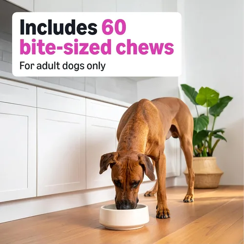 Vista 4 de Amazon Basics Suplemento diario masticable para cadera y articulaciones para perros con glucosamina, MSM y vitamina C, sabor a pato, 60